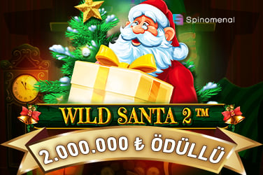 Wild Santa 2