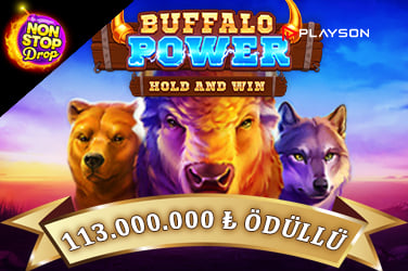 Buffalo Power: Hold and Win