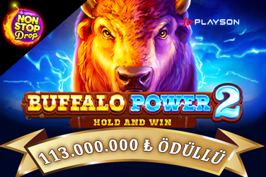 Buffalo Power 2: Hold and Win